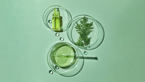 The Rise of Lab-Made Ingredients in Beauty: A Sustainable and Innovative Solution